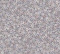 e4ae4b3fc1714060d8d7c7d11b7453b1
