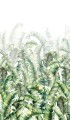 42173.jpg