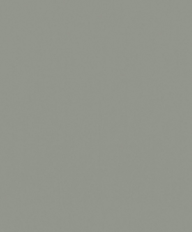 82519.jpg