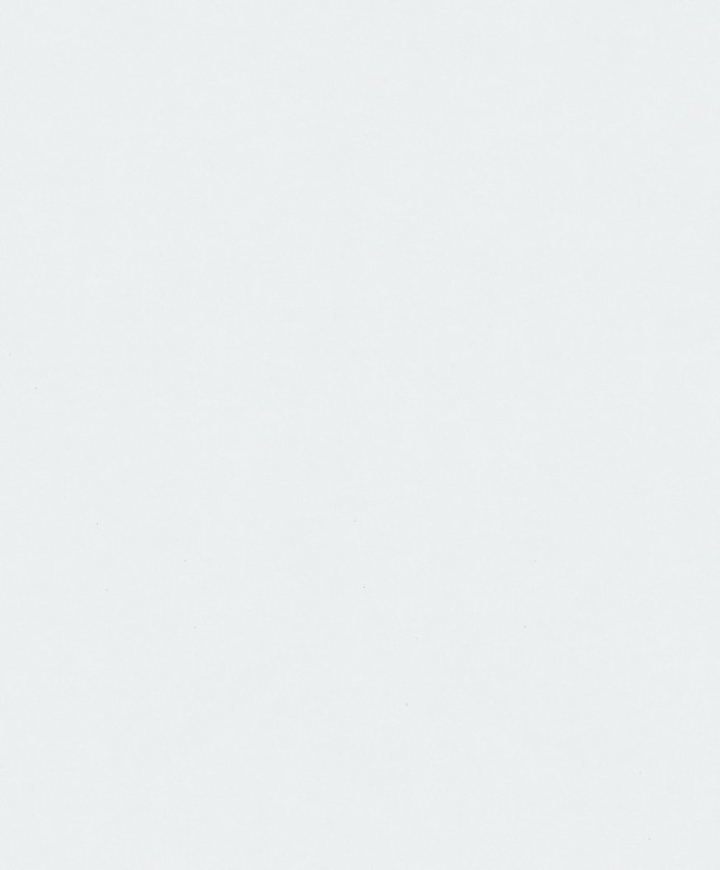 82529.jpg