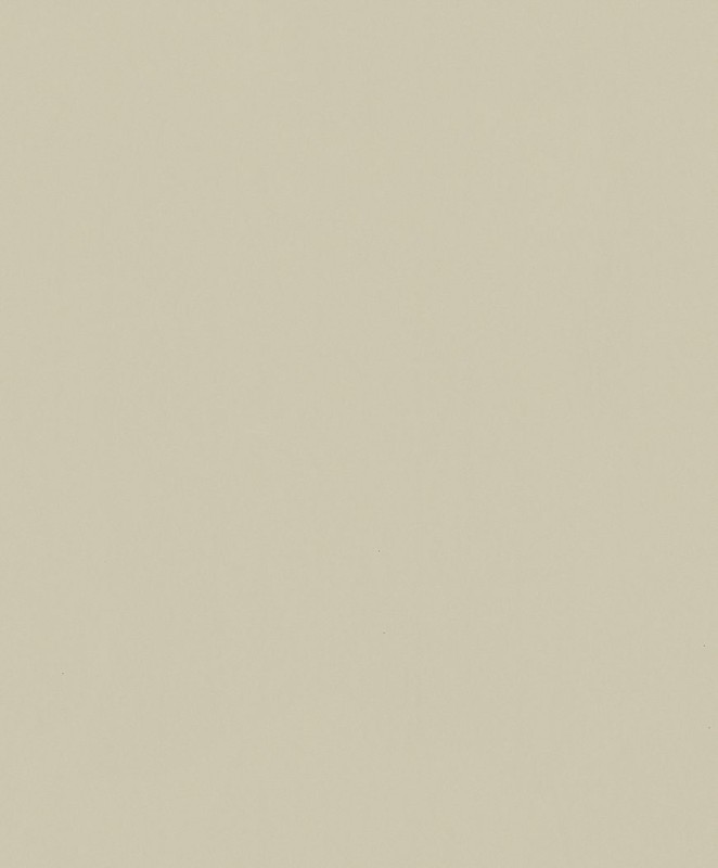 82532.jpg