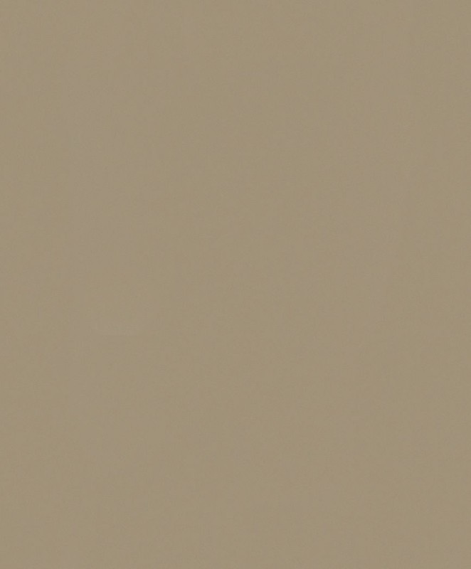 82533.jpg