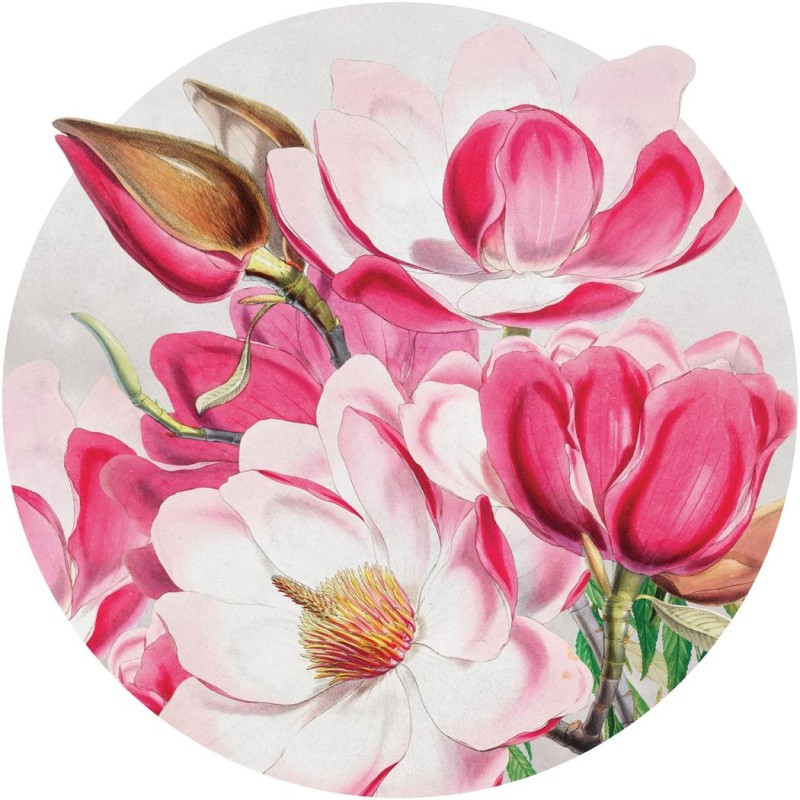 Fototapeta w kształcie koła - Różowe magnolie