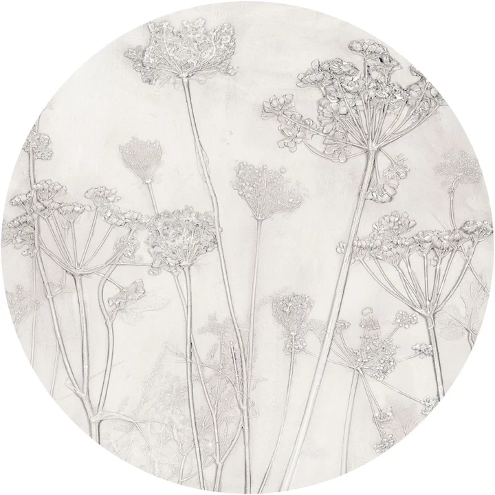 f0606d92fb5f2ddbd591805e2f494a82
