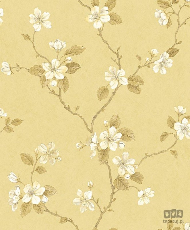 Palazzo G67616 tapeta ścienna Galerie