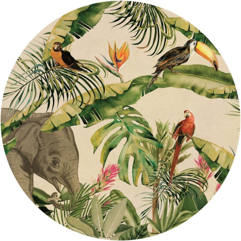 TapetaKoloJungle-1_1.jpg