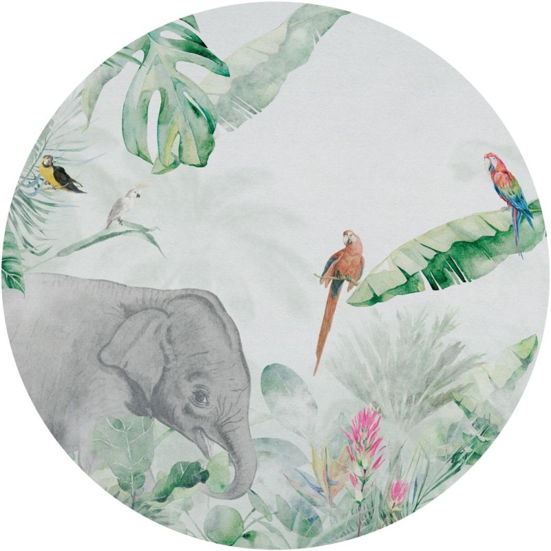 TapetaKoloJungle-Vivid-1_2.jpg