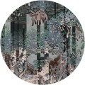 TapetaKoloArboretum-Dark_1.jpg