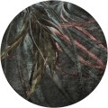 TapetaKoloGrass-Dark.jpg