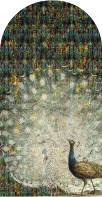 Fototapeta w kształcie łuku - Peacock