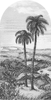 Fototapeta w kształcie łuku - Palm