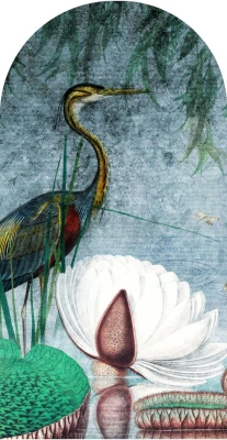 Fototapeta w kształcie łuku - Water Lily