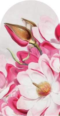 Fototapeta w kształcie łuku - Magnolia