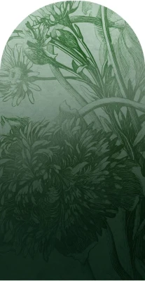 Fototapeta w kształcie łuku - Green Ombre Flower