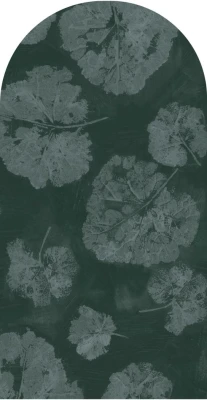 Fototapeta w kształcie łuku - Foglia Sage