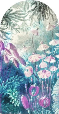 Fototapeta w kształcie łuku - Fairytale Blue