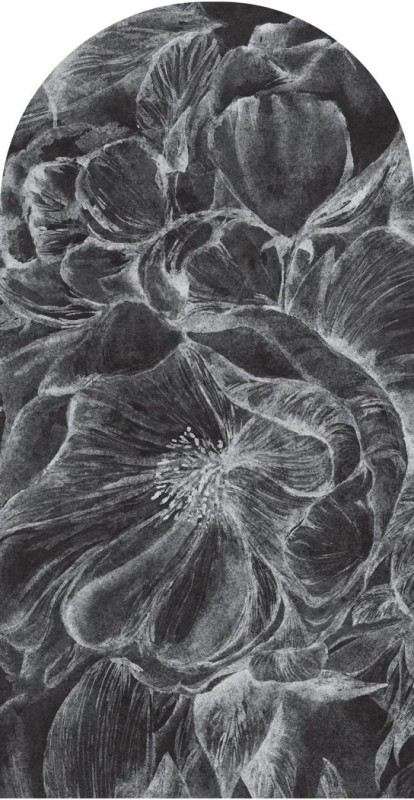 Fototapeta w kształcie łuku - Brassica Dark