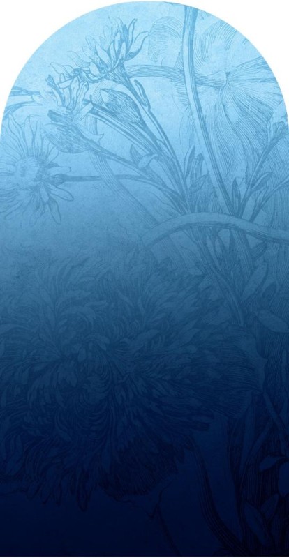 Fototapeta w kształcie łuku - Blue Ombre Flower