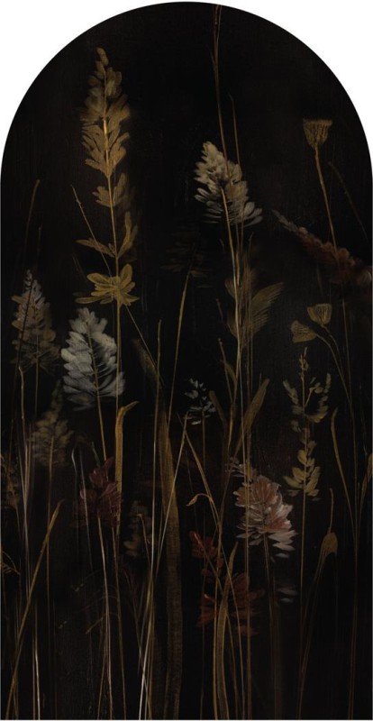 Fototapeta w kształcie łuku - Calamus