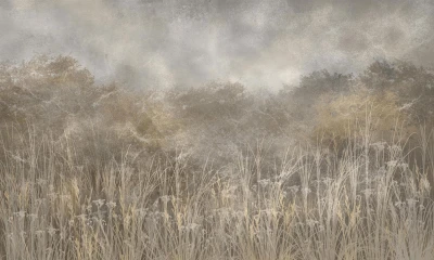 Fototapeta trawa polna