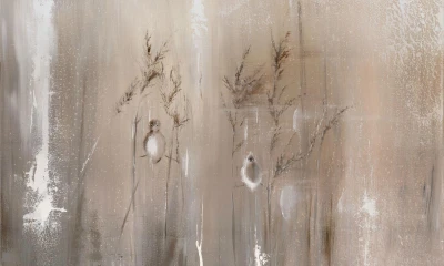 Fototapeta trawy polne