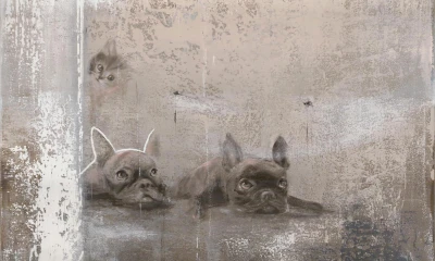 Fototapeta leżące pieski i kot