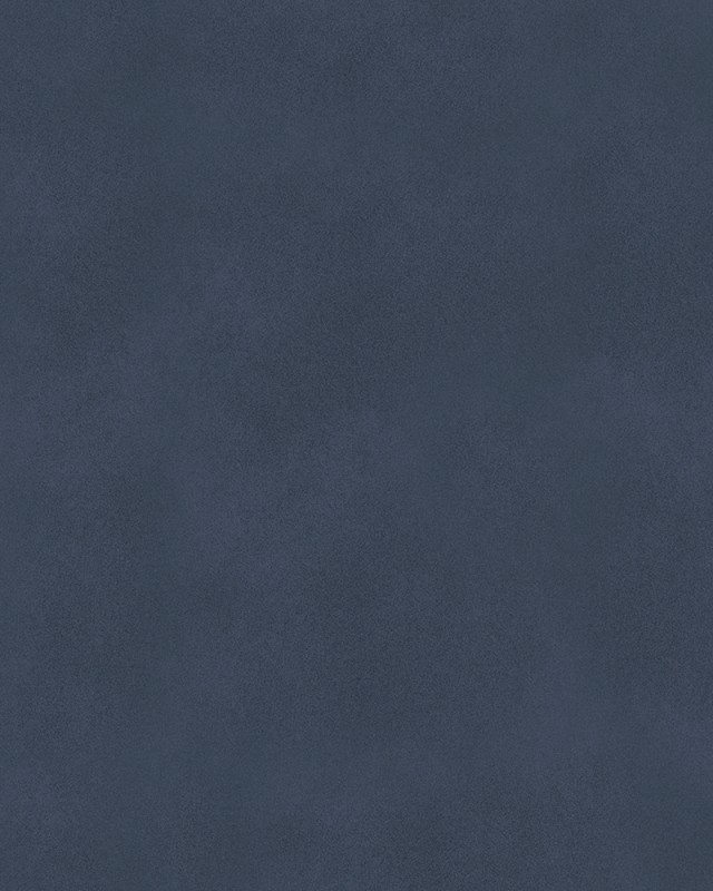 31851.jpg