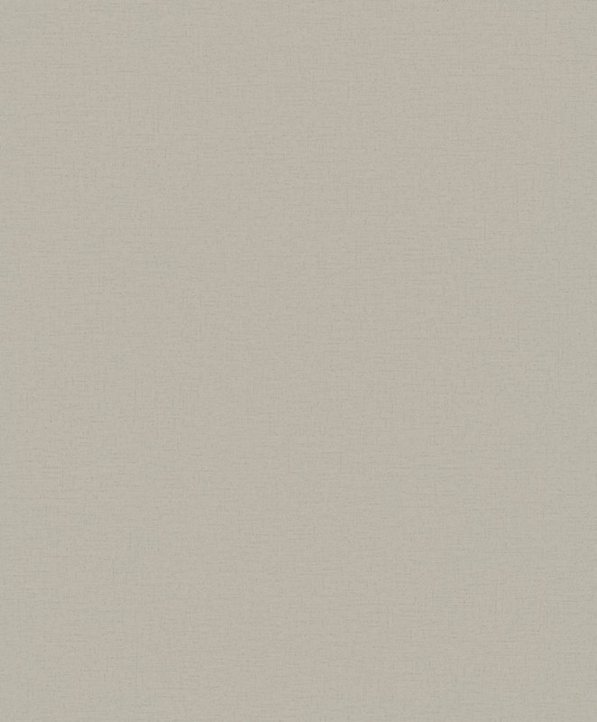 82432.jpg