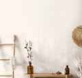 50746_imageroom.jpg
