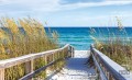 Fototapeta Plaża 3462