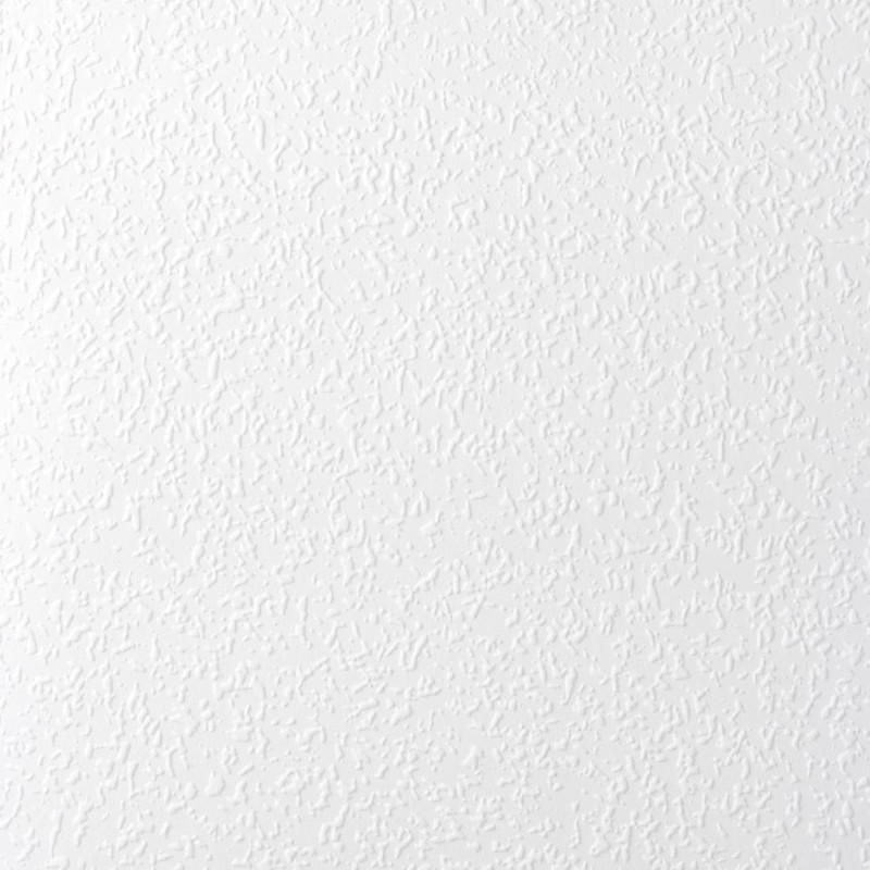 81013.jpg