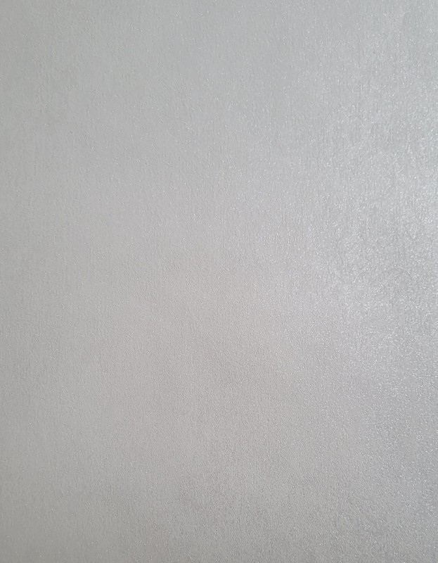 20807.jpg