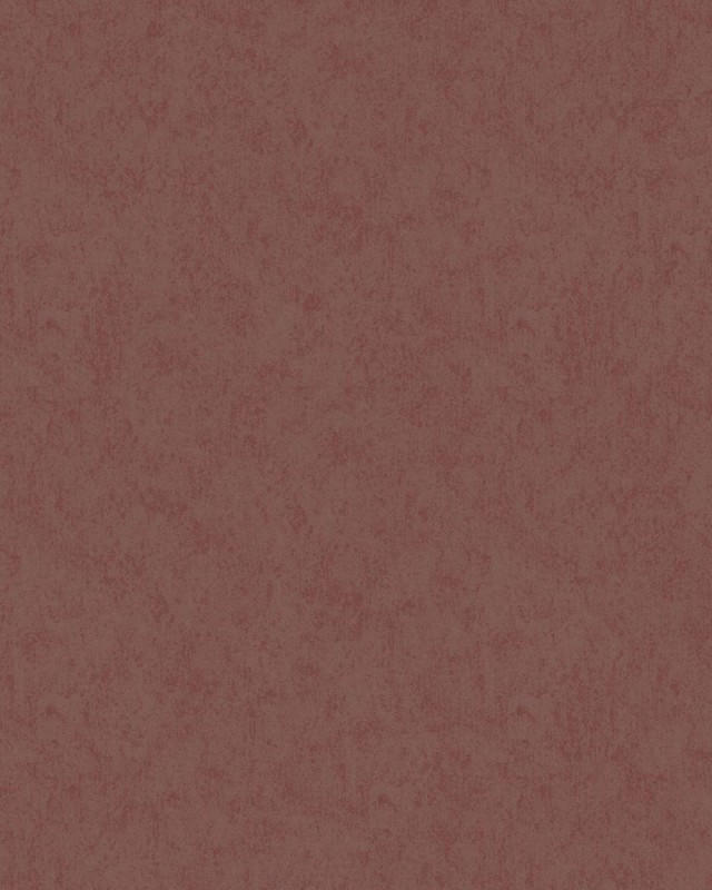 55710.jpg