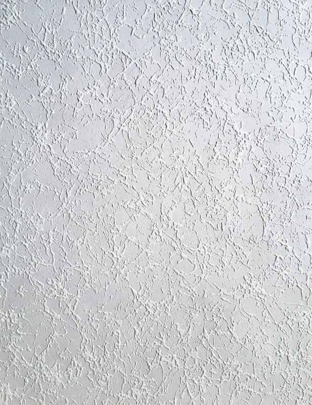 73.jpg