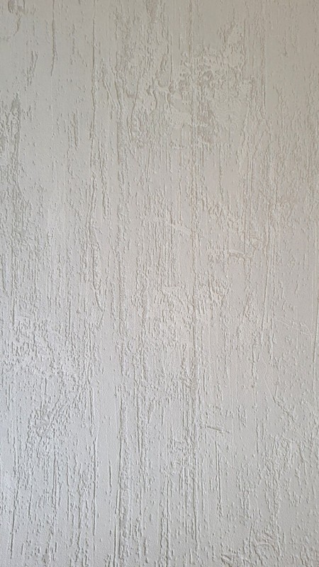 56050119.jpg