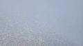 58131_1.jpg