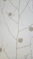 57844.jpg