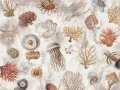 Fototapeta Oceana Wallcraft 1055 31 2501