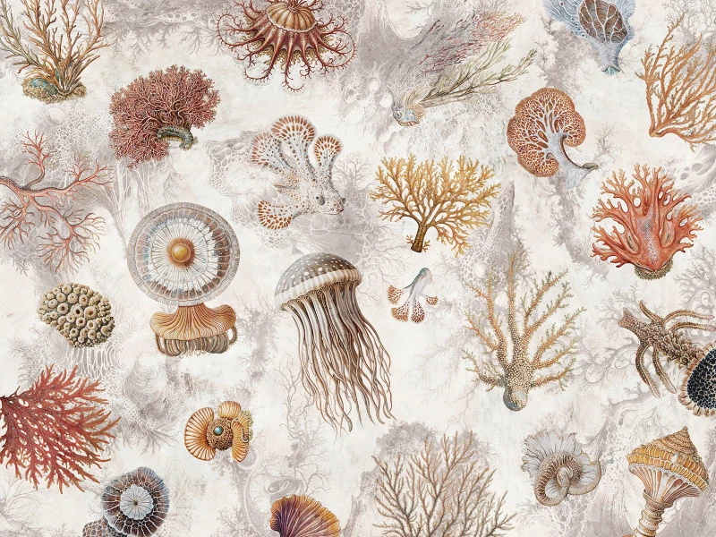 Fototapeta Oceana Wallcraft 1055 31 2501