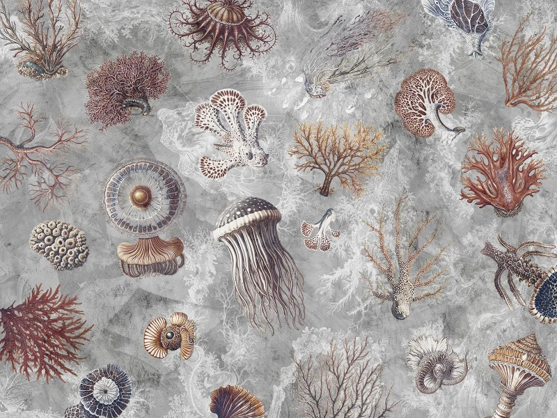 Fototapeta Oceana