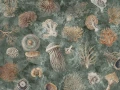 Fototapeta Oceana Wallcraft 1055 33 2501