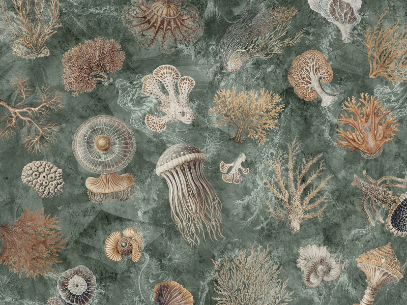 Fototapeta Oceana