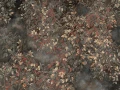 Fototapeta Grisali Wallcraft 1065 31 2501