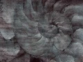Fototapeta Fosilium Wallcraft 405 31 2101