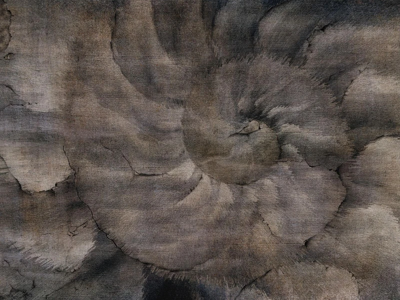 Fototapeta Fosilium