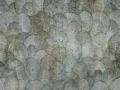 Fototapeta Iberis Wallcraft 410 31 2101