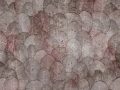 Fototapeta Iberis Wallcraft 410 32 2101
