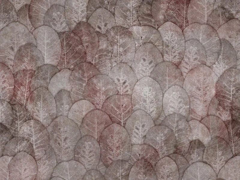 Fototapeta Iberis