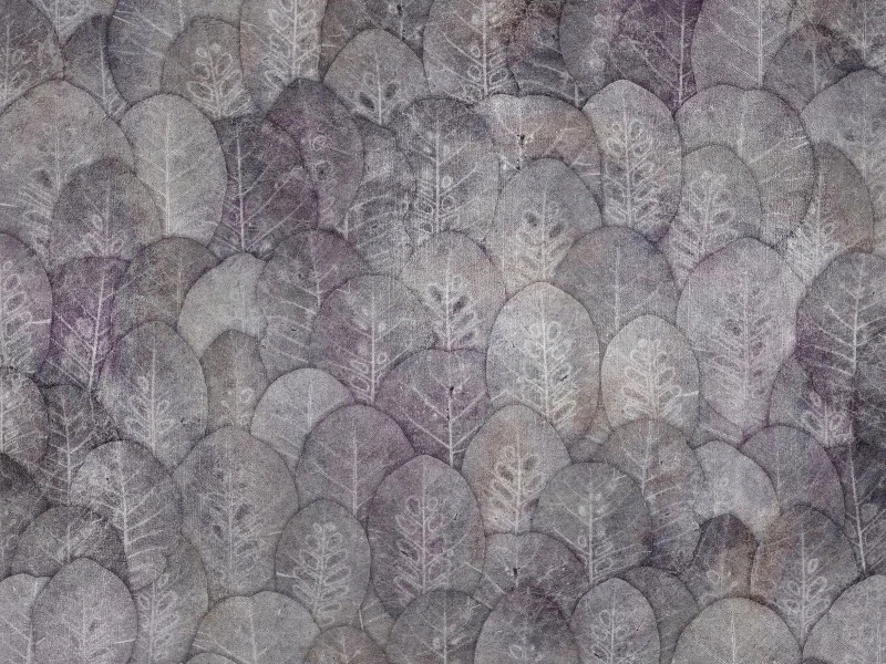 Fototapeta Iberis