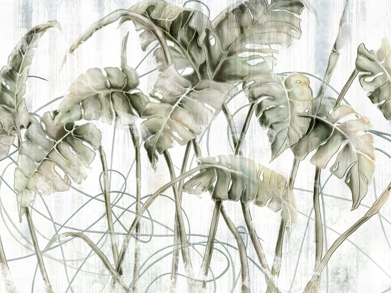 Fototapeta Monstera Wallcraft 595 31 2201